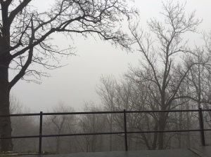 Fog over Gellert Hill